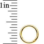 16G 5/16 Gold Anodized Titanium Hinged Segment Ring