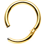 16G 5/16 Gold Anodized Titanium Hinged Segment Ring