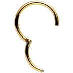 16G 3/8 Gold Tone Anodized Hinged Segment Ring