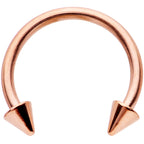16G 3/8 Clear Gem Rose Gold Tone Hinged Circular Ring Set