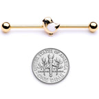 14G Black Gem Gold Tone Baby Bird Industrial Barbell 38mm