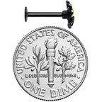 16G 5/16 Black Spooky Spider Halloween Labret Monroe Tragus