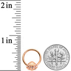 16G 3/8 Clear Gem Rose Gold Tone Shell Hinged Segment Ring