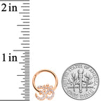16G 3/8 Clear CZ Gem Rose Gold Tone Om Hinged Segment Ring