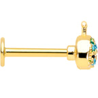 16G 5/16 Aqua Gem Gold Tone Water Whale Labret Monroe Tragus