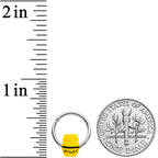 16G 3/8 Jar of Honey Hinged Segment Ring