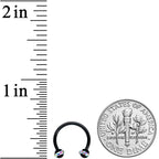 16G 3/8 Aurora Gem Black Banded Horseshoe Circular Barbell