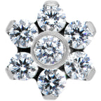 16G 1/4 Clear CZ Gem G23 Titanium Flower Labret Monroe Tragus