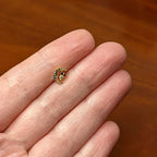 16G 5/16 Aurora Black Gem Gold Tone Owl Moon Labret Monroe Tragus