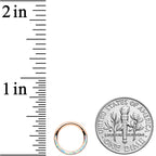 16G 5/16 Synth Opal Rosy Tone Bottom Curve Hinged Segment Ring