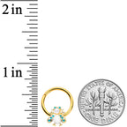 16G 3/8 White Gem Gold Tone Snow Bug Hinged Segment Ring