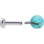 16G 1/4 Elegant Blue Turquoise Internally Threaded Labret Tragus