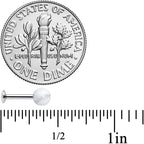 16G 1/4 Elegant White Howlite Internally Threaded Labret Tragus