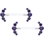 14G 13/16 Purple Gem Bioplast Simple Curvation Nipple Ring Set