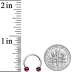 16G 3/8 Matte Pink Zebra Stripe Ends Horseshoe Circular Barbell