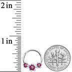 16G 3/8 Red Purple Double Flower Hinged Segment Ring