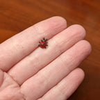 16G 5/16 Black Classic Ladybug Labret Monroe Tragus