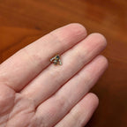16G 5/16 Clear Black Gem Gold Tone Angular Bee Labret Tragus