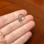 16G 3/8 Black Gem Blue Leaping Dolphins Hinged Segment Ring