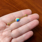 14G Gold Tone Rainbow Scallop Shell Industrial Barbell 38mm