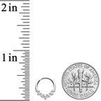 16G 5/16 Clear CZ Gem Seven Leaf Hinged Segment Ring