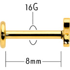 16G 5/16 Gold Tone Simple Butterfly Internal Thread Labret Tragus