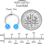 14G 7/16 Beach Ball Blue Stripe Horseshoe Circular Barbell