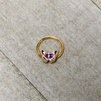 16G 3/8 Gold Tone Red Pink Blue Butterfly Hinged Segment Ring