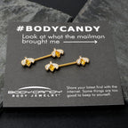 14G 9/16 Yellow Gem Gold Tone Fashion Bug Barbell Nipple Ring Set