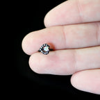 20G 5/16 Aurora Clear Gem Black Rococo Hearts Nose Hoop