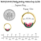 16G 3/8 Gold Tone Watermelon Bite Hinged Segment Ring