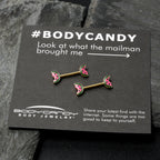 14G 9/16 Gold Tone Watermelon Bite Barbell Nipple Ring Set