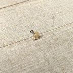 16G 1/4 Clear CZ Gem Leafy Golden Branch Threadless Labret Tragus