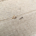 16G 1/4 Clear CZ Gem Leafy Golden Branch Threadless Labret Tragus