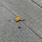 16G 5/16 Happy Sunflower Yellow Curved Eyebrow Ring