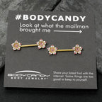 14G 9/16 Pink Gem Gold Tone Texture Star Barbell Nipple Ring Set