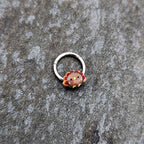 16G 5/16 Sweet Tiny Turkey Thanksgiving Hinged Segment Ring