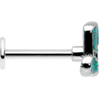16G 5/16 Glitter Top Hat Shamrock St Patricks Labret Monroe Tragus