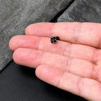 16G 5/16 Purple Gem Black Scrolling Hearts Labret Monroe Tragus