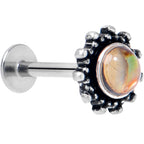 16G 5/16 Brown Faux Shell Circle of Glam Labret Monroe Tragus