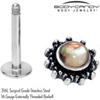 16G 5/16 Brown Faux Shell Circle of Glam Labret Monroe Tragus