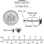 16G 1/4 Clear CZ Gem Heart of Spider Cartilage Tragus Earring