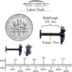 16G 5/16 Clear CZ Gem Black Raven Witch Labret Monroe Tragus