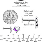 16G 5/16 Clear CZ Gem Butterfly Rose Purple Internally Threaded Labret