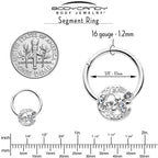 16G 3/8 Clear Gem Lunar Dragonfly Hinged Segment Ring