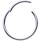16G 9/16 316L Surgical Steel Precision Hinged Segment Hoop