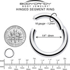 16G 1/4 316L Surgical Steel Precision Hinged Segment Hoop