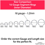 16G 1/4 316L Surgical Steel Precision Hinged Segment Hoop