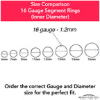 16G 13mm 316L Surgical Steel Precision Hinged Segment Hoop