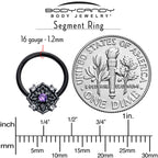 16G 3/8 Purple CZ Gem Black Flower Ring Hinged Segment Ring
